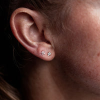 Southern Stars Medium Studs