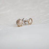 Scallop Studs
