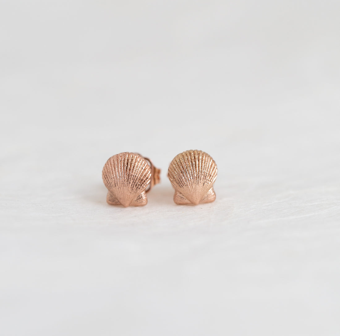 Scallop Studs
