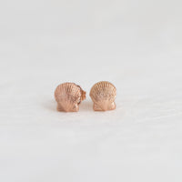 Scallop Studs