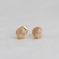Scallop Studs