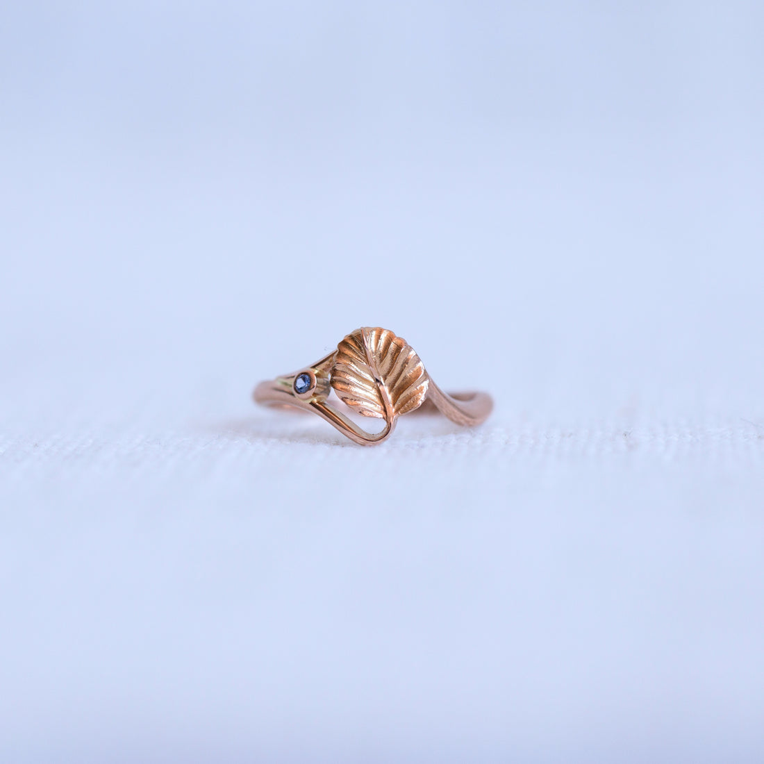 18K Rose Gold Small Tasmanian Sapphire Nothofagus Ring