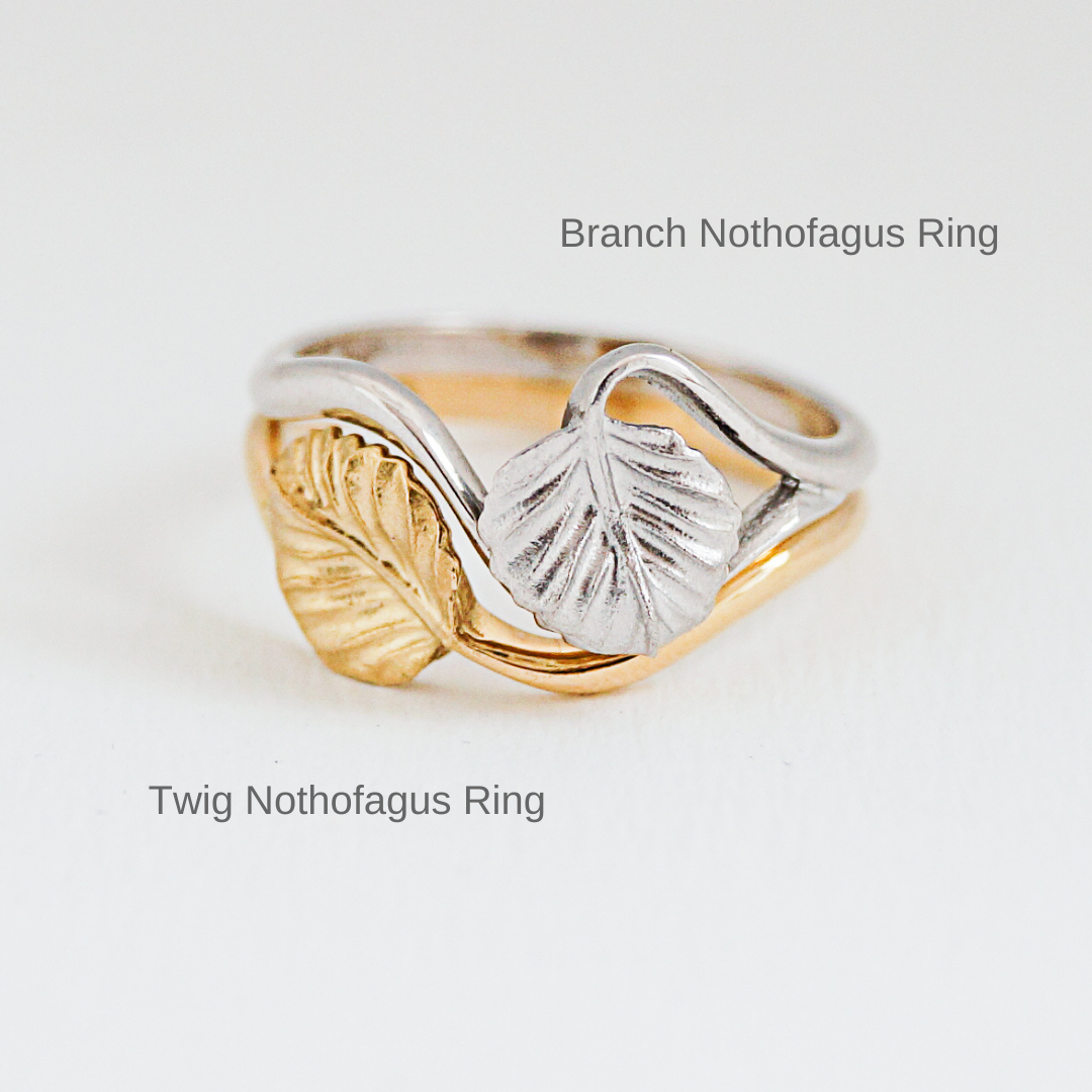 Nothofagus Branch Ring