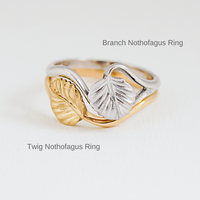 Nothofagus Twig Ring