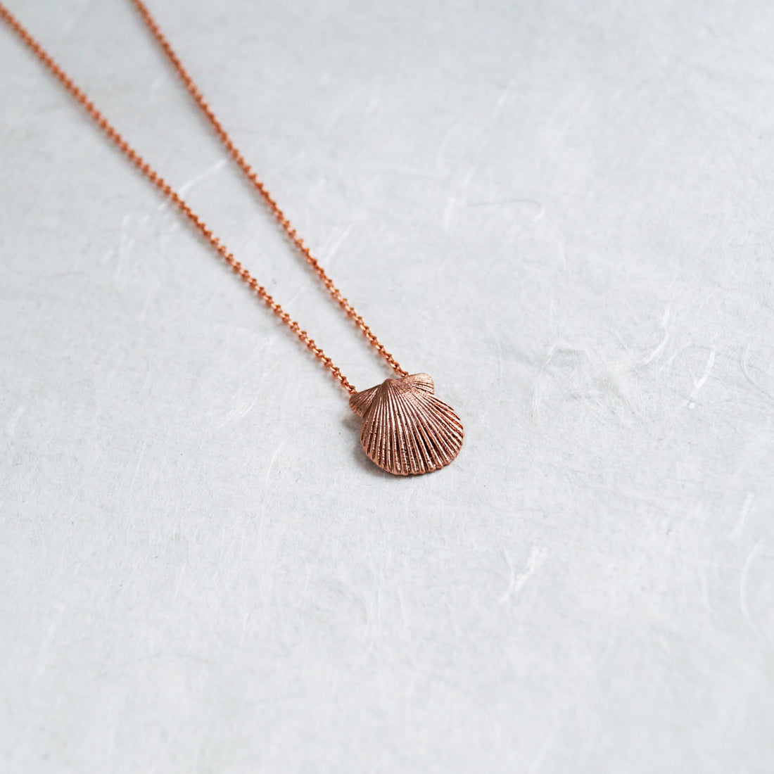 Scallop Shell Pendant & Chain