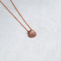 Scallop Shell Pendant & Chain
