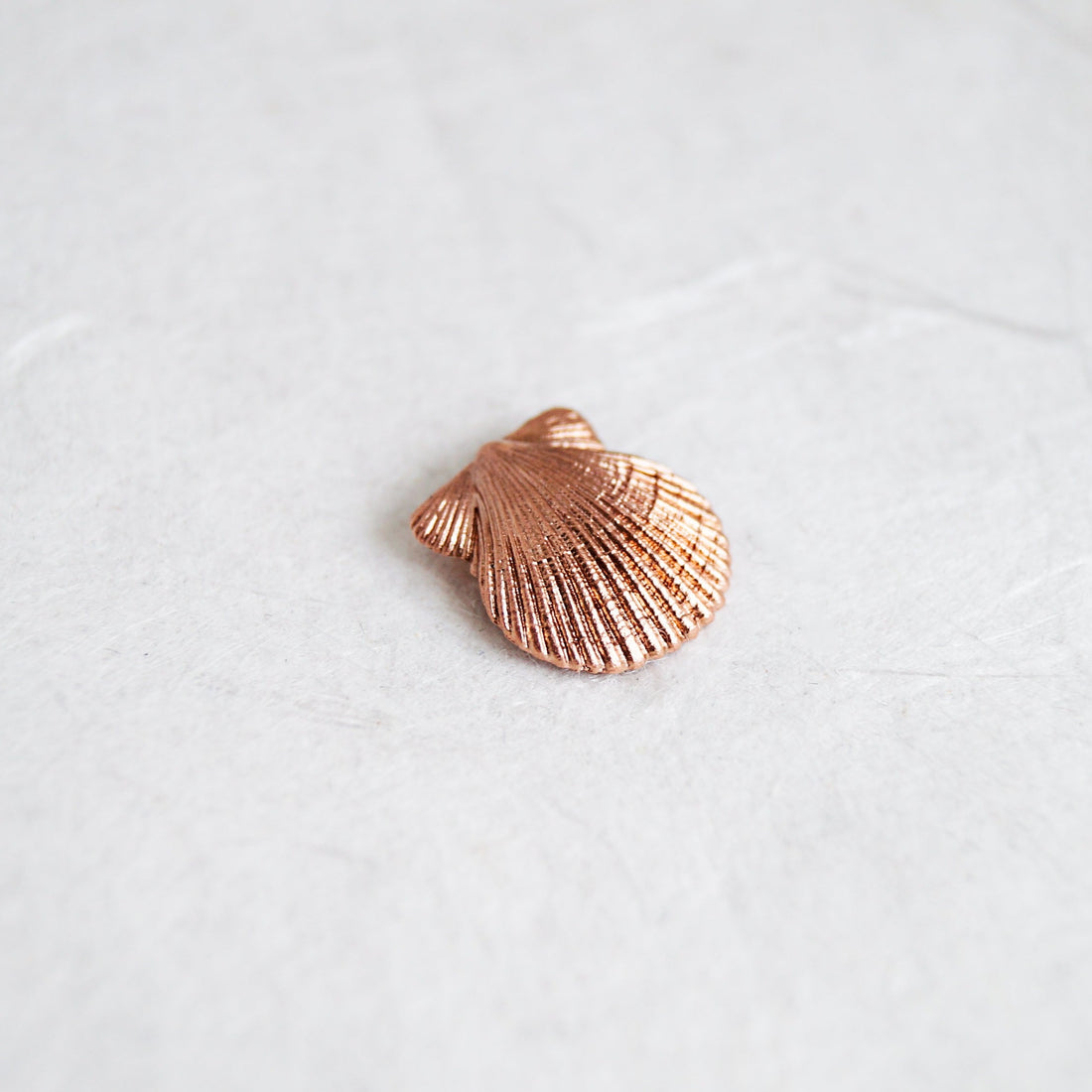 Scallop Shell Pendant & Chain