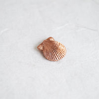Scallop Shell Pendant & Chain