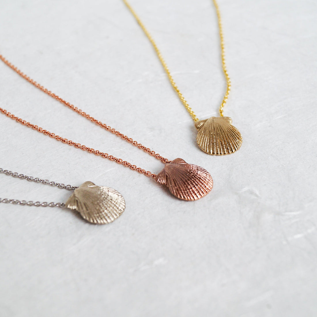Scallop Shell Pendant & Chain
