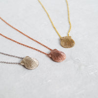 Scallop Shell Pendant & Chain