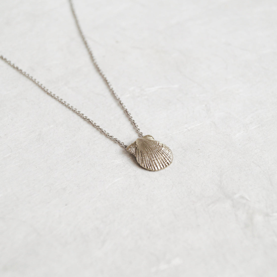 Scallop Shell Pendant & Chain