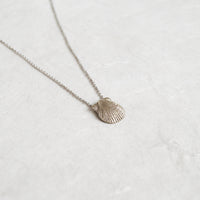 Scallop Shell Pendant & Chain