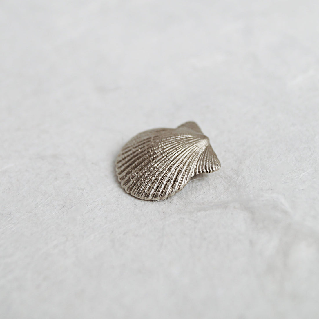 Scallop Shell Pendant & Chain