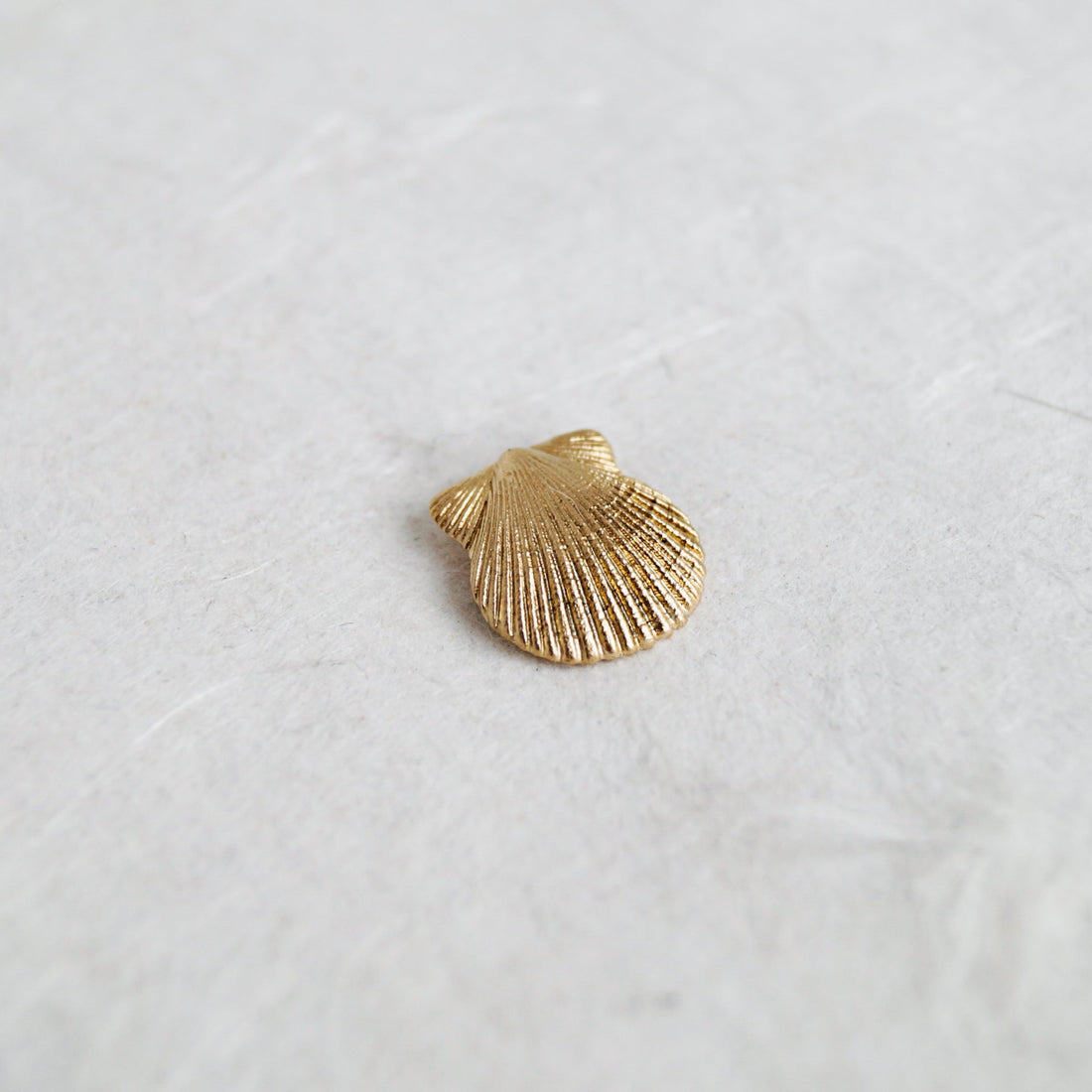 Scallop Shell Pendant & Chain