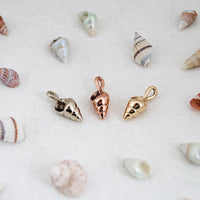 Polished Seashell Pendant