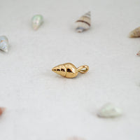 Polished Seashell Pendant