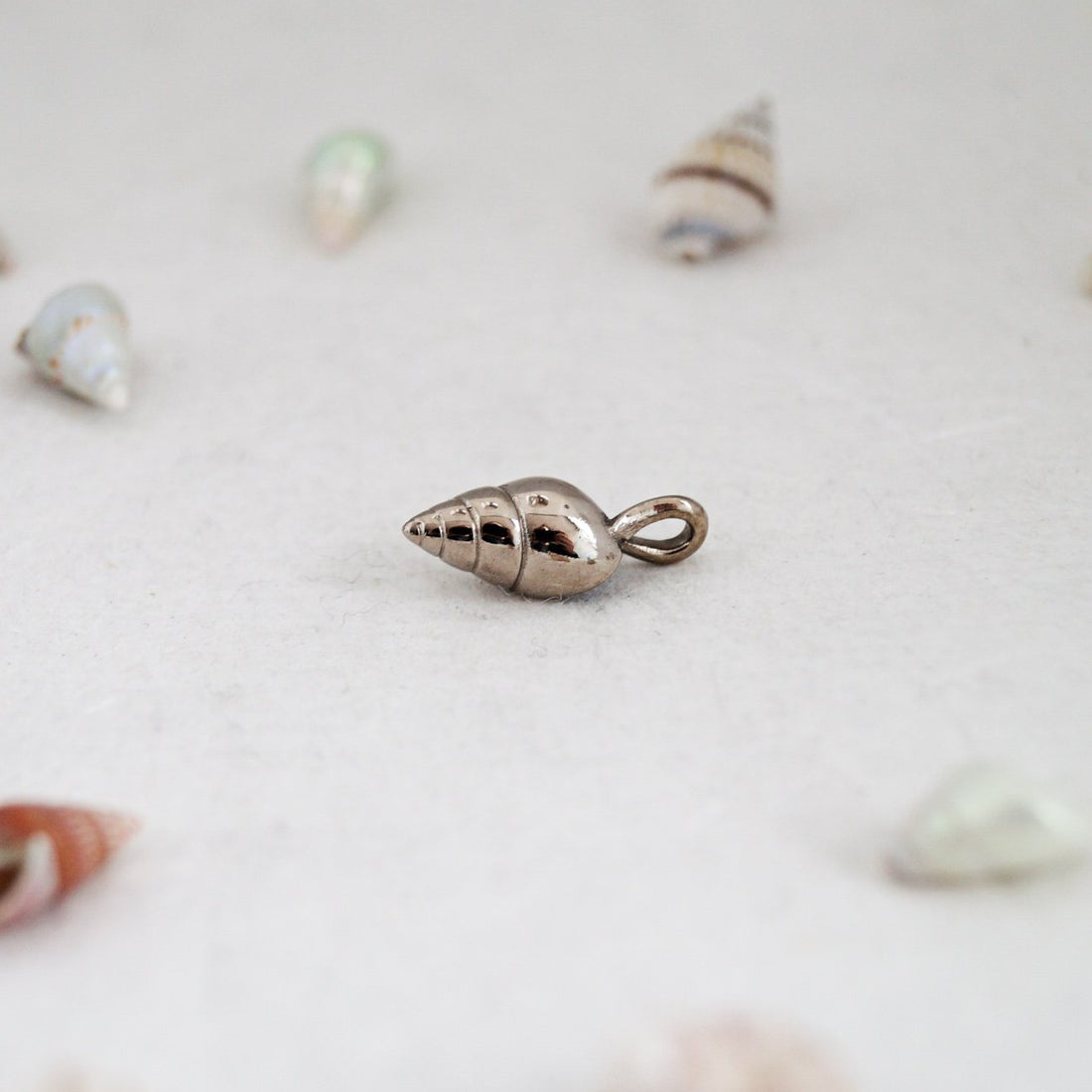 Polished Seashell Pendant