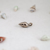 Polished Seashell Pendant