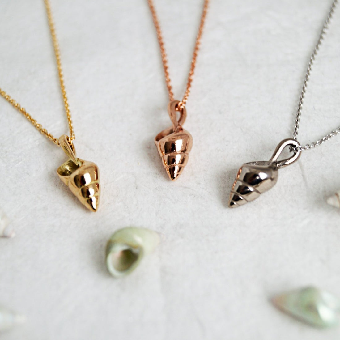 Polished Seashell Pendant