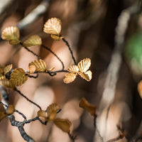 Nothofagus Drop Earrings