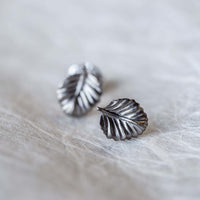 Nothofagus Stud Earrings