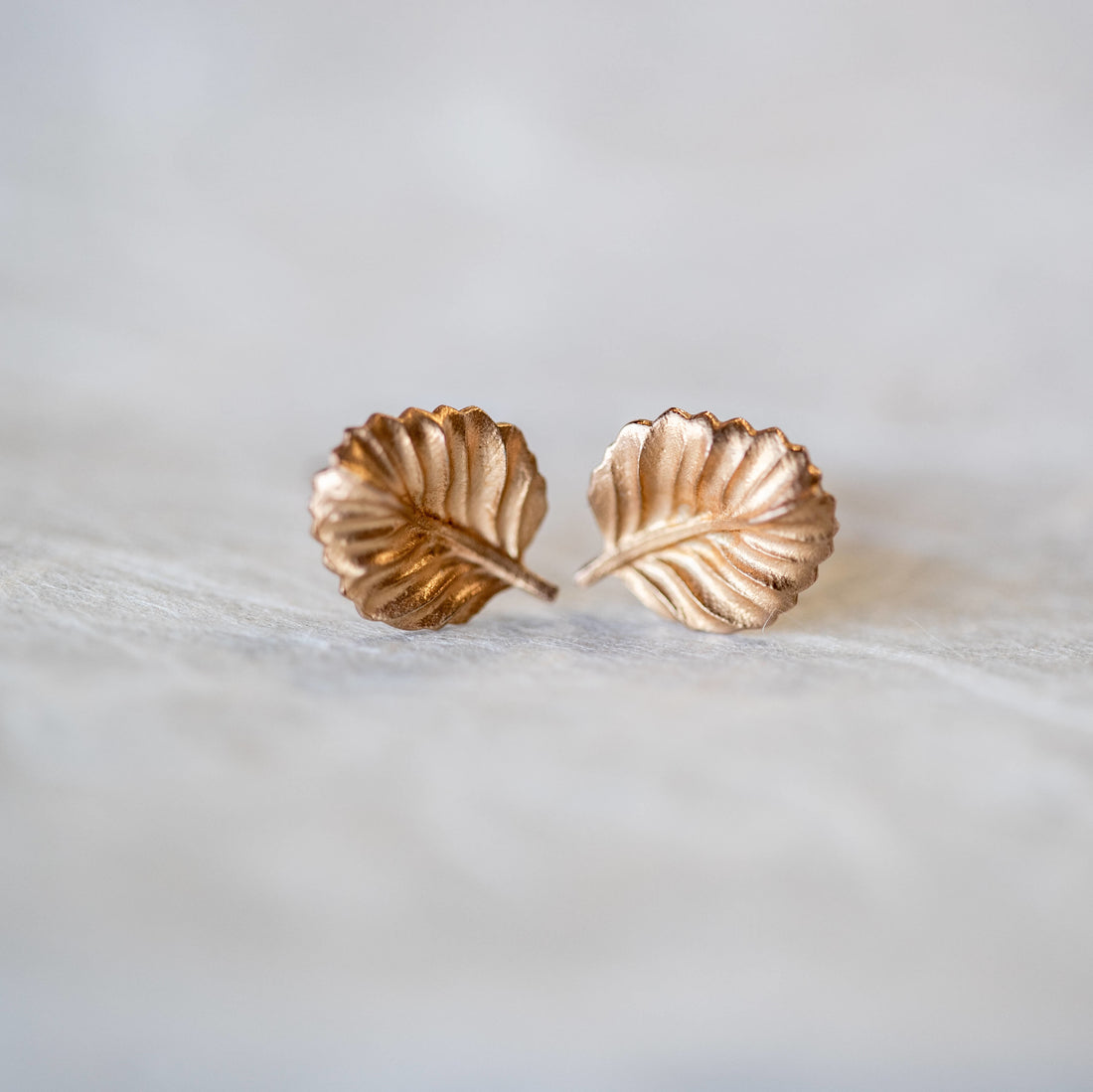 Nothofagus Stud Earrings