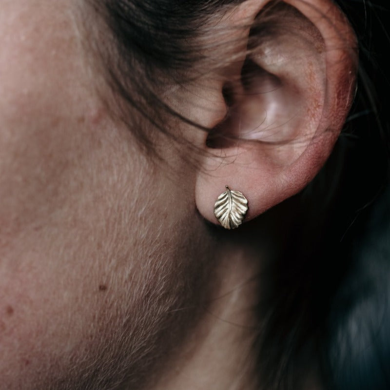 Nothofagus Stud Earrings