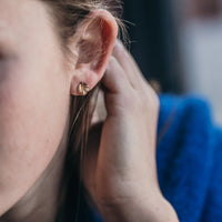 Nothofagus Stud Earrings