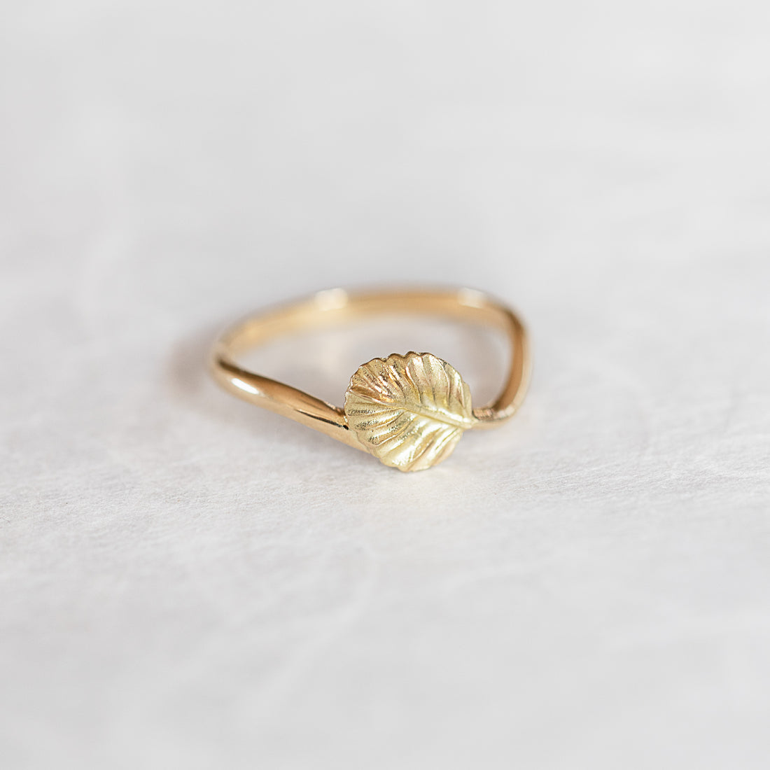 Nothofagus Twig Ring
