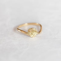 Nothofagus Twig Ring
