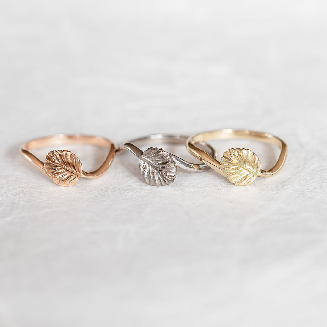Nothofagus Twig Ring