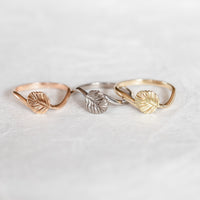Nothofagus Twig Ring
