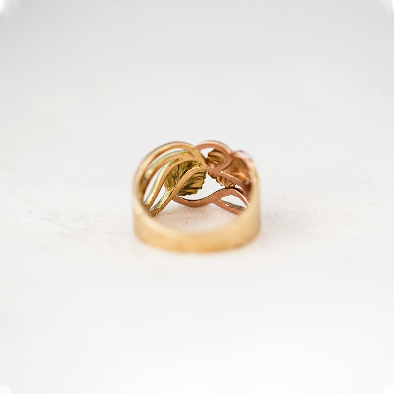 Nothofagus Intertwined Ring