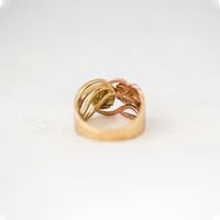 Nothofagus Intertwined Ring