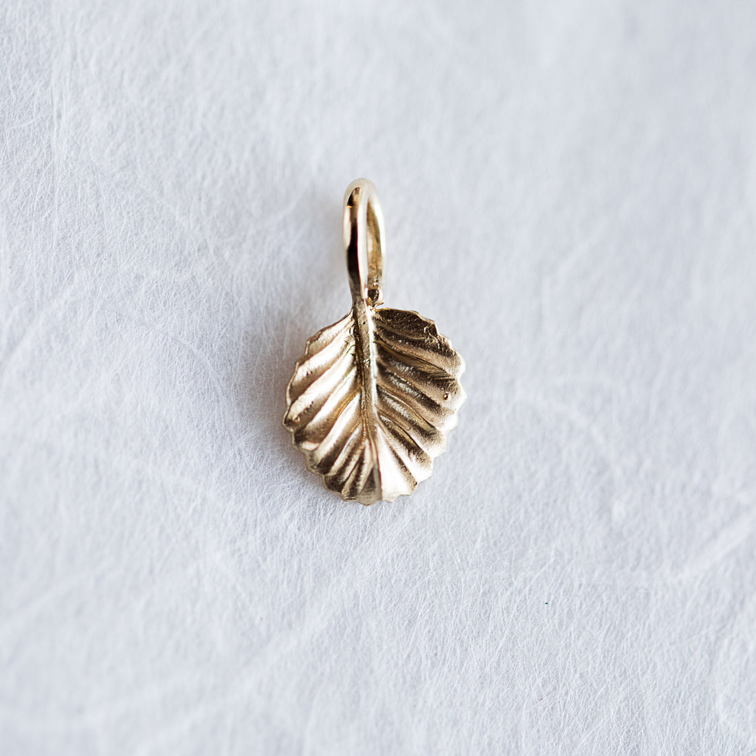 Nothofagus Mini Pendant