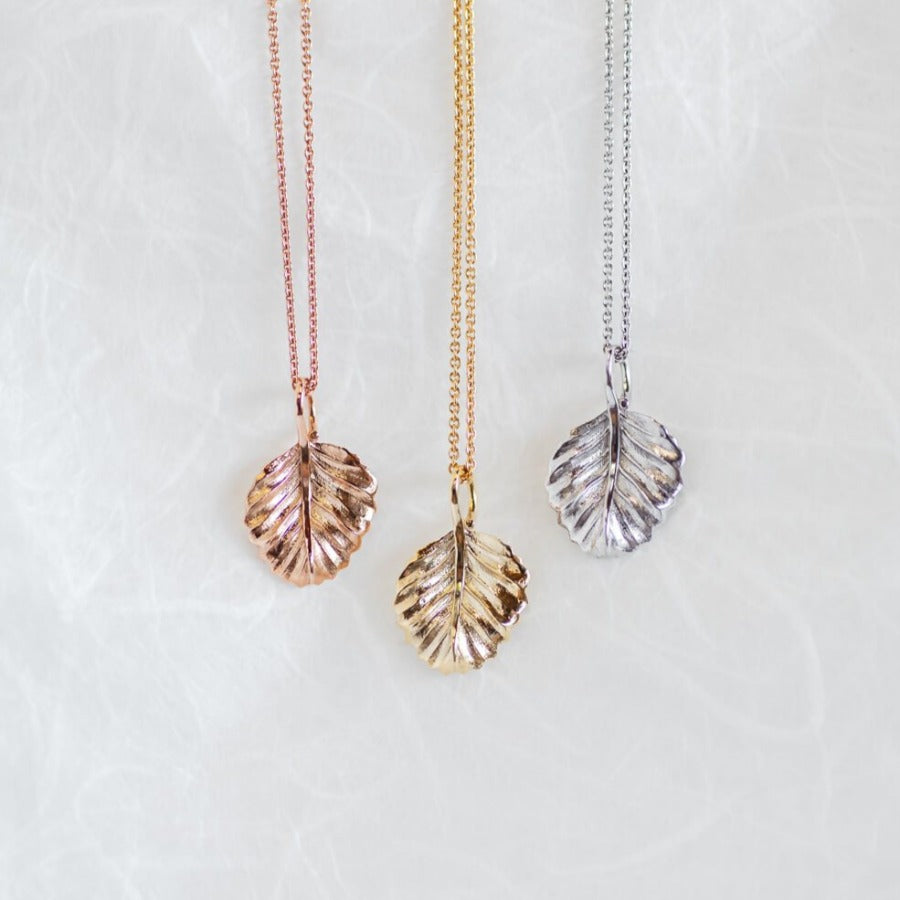 Nothofagus Gold Chain – Tasmania by Claudia