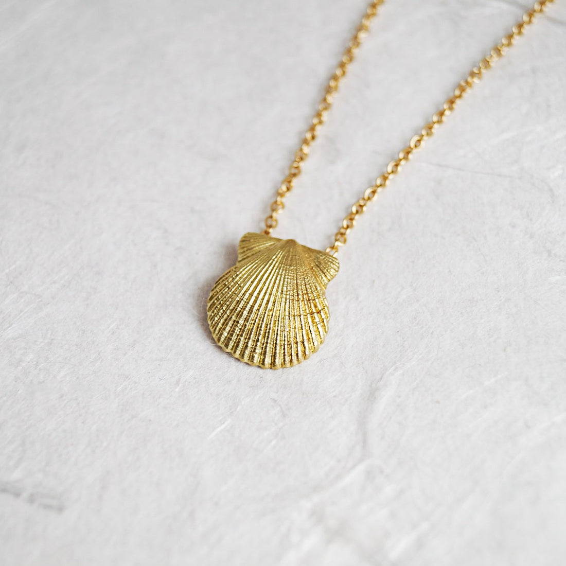 Scallop Shell Pendant & Chain