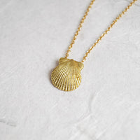 Scallop Shell Pendant & Chain
