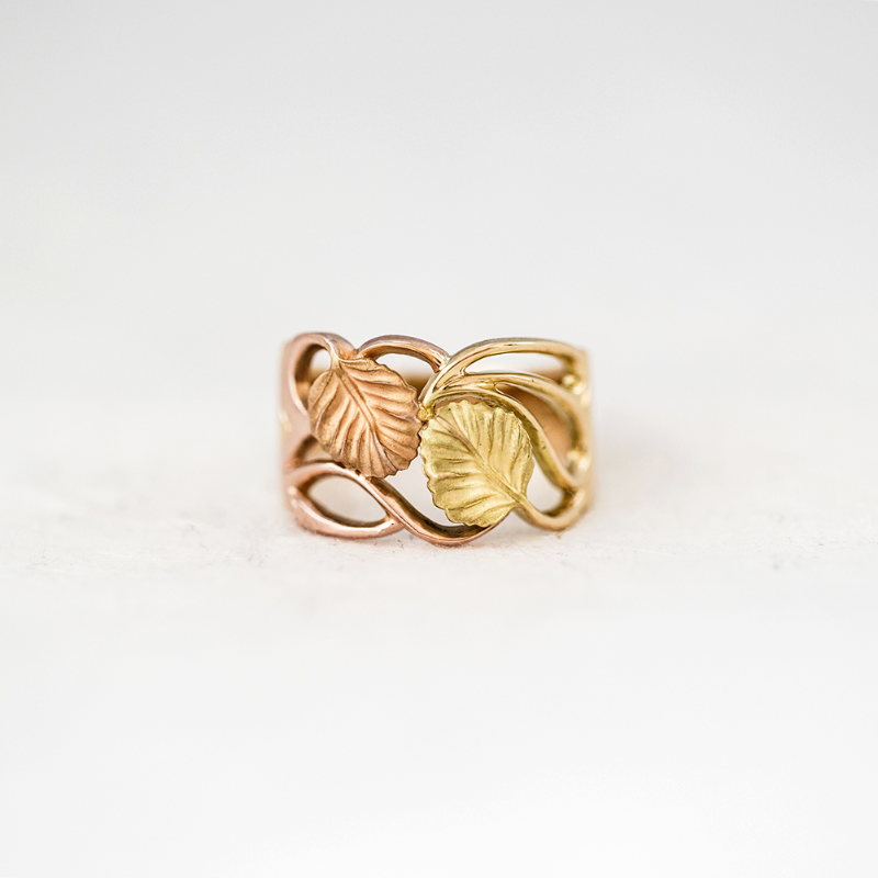 Nothofagus Intertwined Ring
