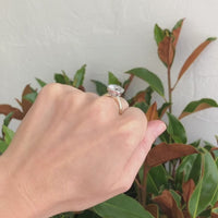 Two Tone Cushion Cut Cocktail Ring (Limited Edition)
