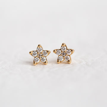 Southern Stars Medium Studs