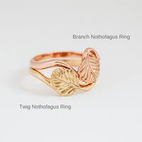 Nothofagus Twig Ring
