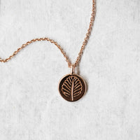 Nothofagus Charm