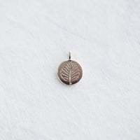 Nothofagus Charm