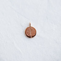 Nothofagus Charm