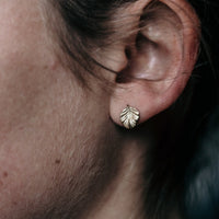Nothofagus Stud Earrings