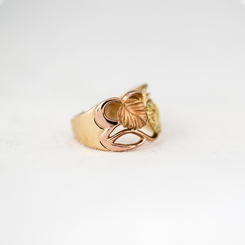 Nothofagus Intertwined Ring - Limited Edition